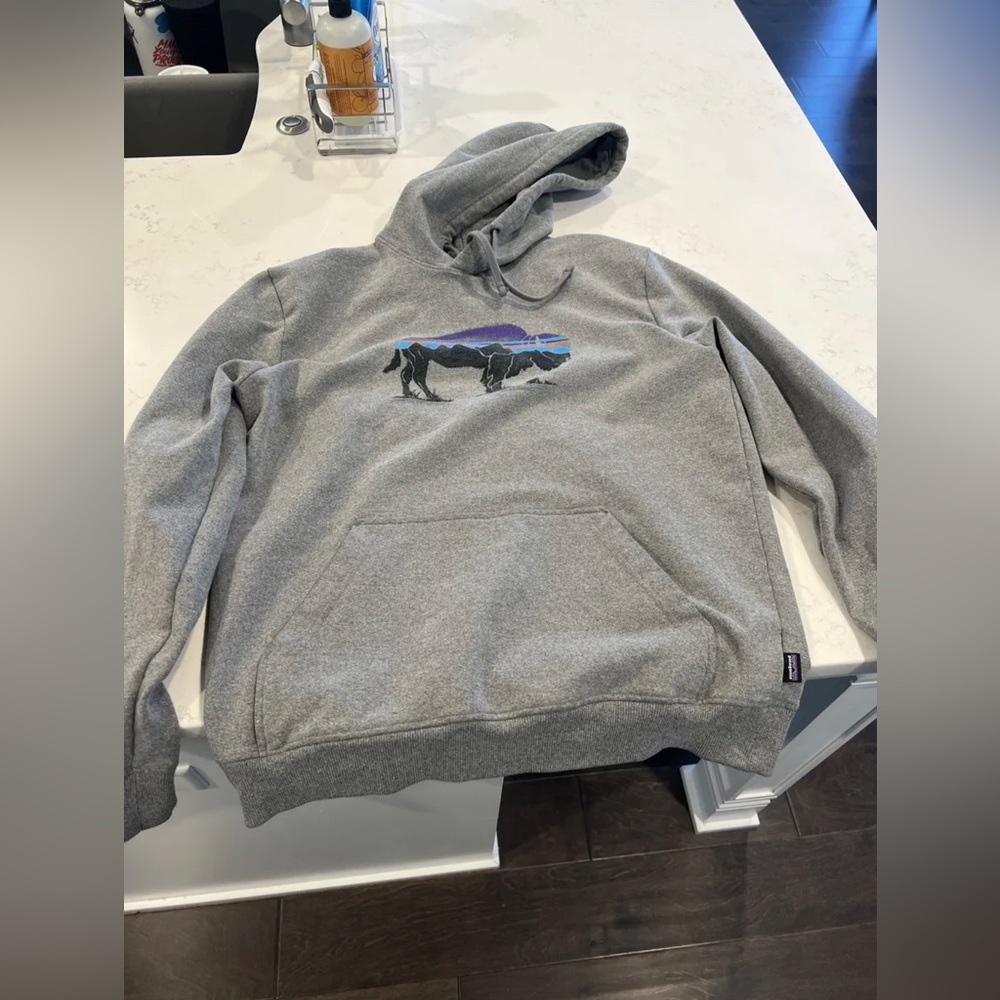 Patagonia Uprisal Buffalo Hoodie